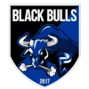 Black Bulls logo