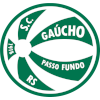 Gaucho/RS logo