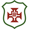 Portuguesa Santista SP Youth logo