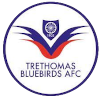 Trey Thomas Drossel logo