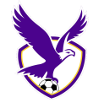 Trực tiếp bóng đá - logo đội Nữ Boroondara Eagles