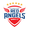 Trực tiếp bóng đá - logo đội Nữ Hyundai Steel Redangels