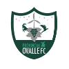 Trực tiếp bóng đá - logo đội Provincial Ovalle