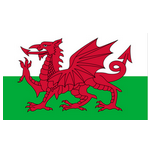 Trực tiếp bóng đá - logo đội Wales U16